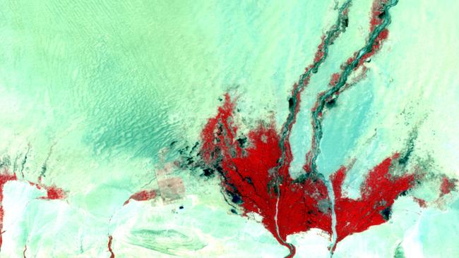This is mainly desert with the red depicting mountains and a small body of water in the dark blue.