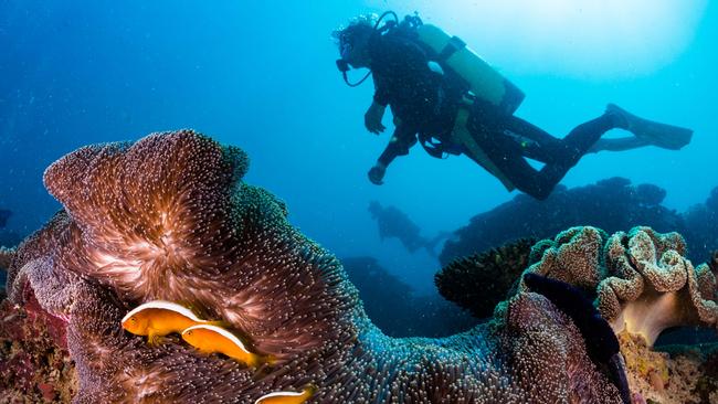 Exploring the depths of Ningaloo Reef. Picture: Dive Ningaloo