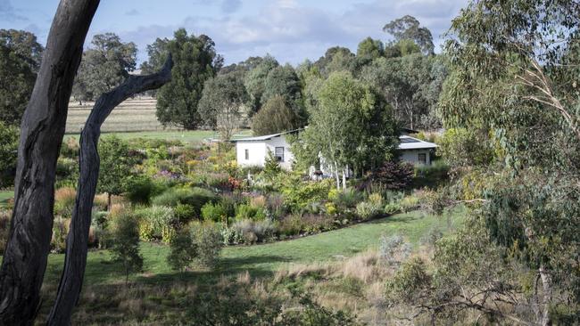 Bristow’s favourite time is autumn when the garden becomes “softer, quieter, slower”. Picture: Ralph Bristow