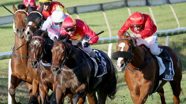 BTC Cup winner Malaguerra, with jockey Glenn Colless in the saddle, battles it out the finish with Dothraki (right). Picture: Jono Searle