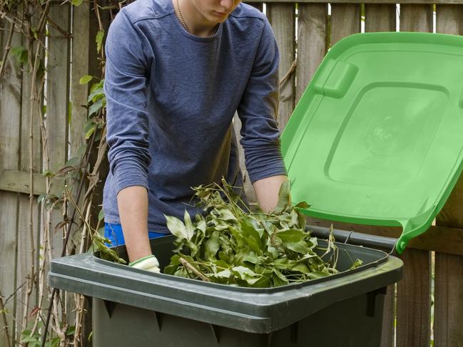 Take advantage of the Council's green bin discount