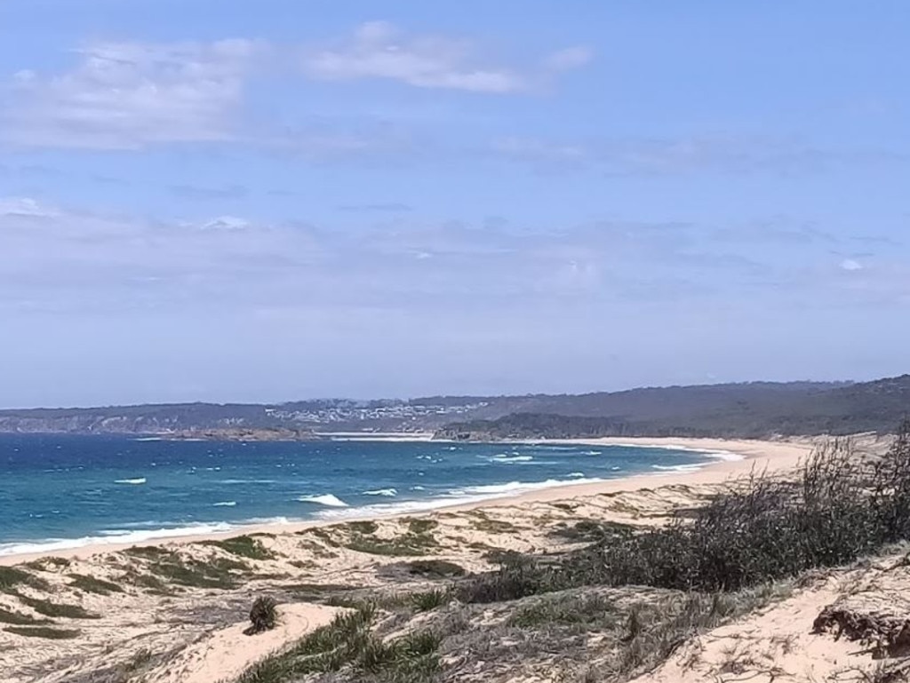 The remains were found by campers on Bournda Beach on NSW’s South Coast.