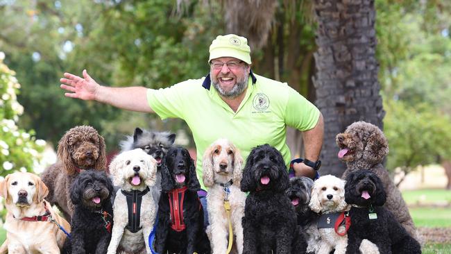 Dog walker Ken Phillips dislikes Stonnington council's new law which prevents anyone from walking more than four dogs at a time. Picture: Josie Hayden