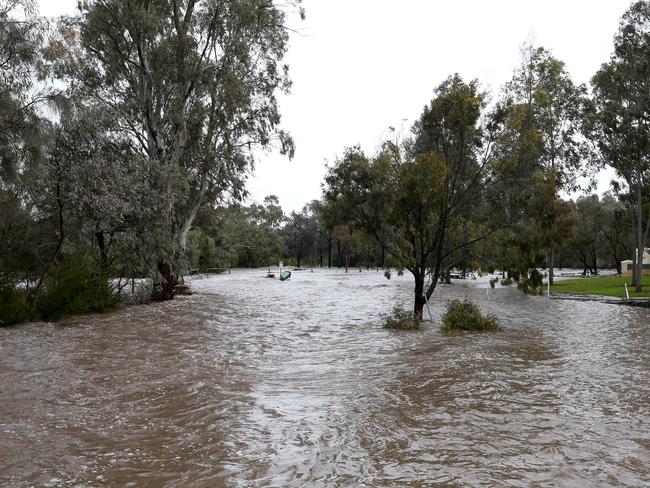 A park is inundated with water from the North Para River, at the entrance to Tanunda. Picture: Dean Martin