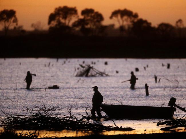 The duck shooting season starts on March 16 and will run until June 13. Picture: Mark Stewart