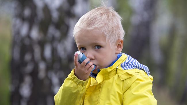 Health experts issue warning of strong pollen season ahead. File picture