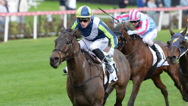 Floating Artist (GB) ridden by Thomas Stockdale wins the Xtreme Freight Handicap at Moonee Valley Racecourse on August 12, 2023 in Moonee Ponds, Australia. (Photo by Ross Holburt/Racing Photos via Getty Images)