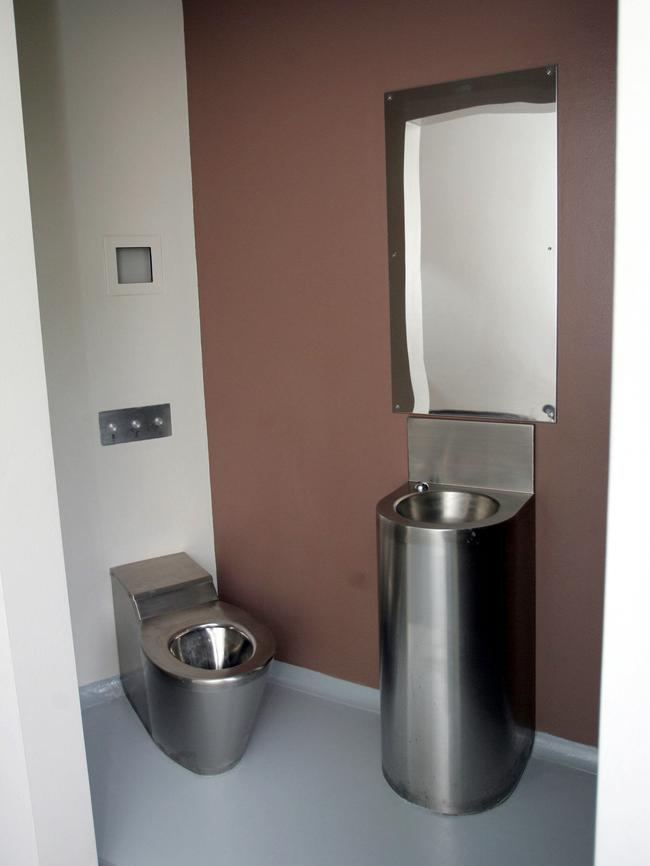 A toilet and basin in the cell. Picture: Gregg Porteous