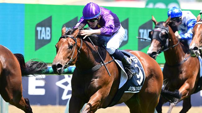 Exciting Boom Torque pictured wins a $1m race on Gold Coast Magic Millions day for trainer Matt Dunn. Picture: Grant Peters/Trackside Photography