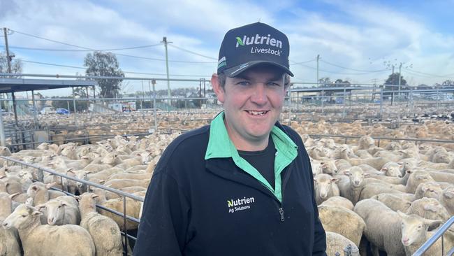 Nutrien Bombala, NSW livestock agent Pat Cleaver made the trip to Wagga Wagga Livestock Marketing Centre to watch lambs from his area go under the hammer. Pictures: Nikki Reynolds