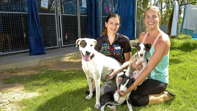 DE-SEX YOUR PETS: RSPCA volunteers Nicole Allison and Jolander Borchers with Lotus, Cleo and Zarli. Picture: Paul Braven GLA050417RSPCA