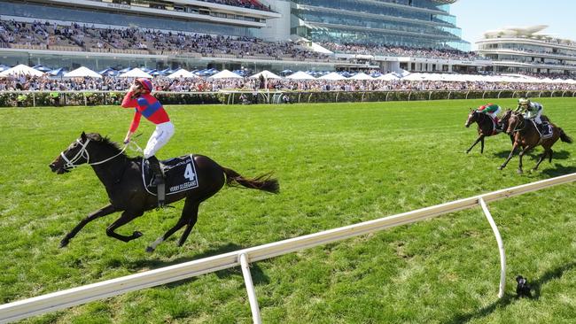 The Melbourne Cup, won by Verry Elleegant, rated just below The Everest. Picture: Racing Photos via Getty Images