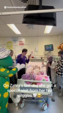 Wiggles perform by dying toddler's bedside