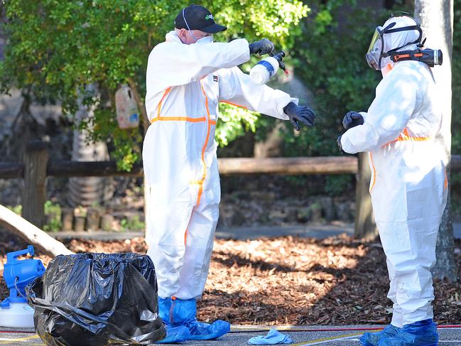 Cleaners at Chatswood Hills school in Springwood on Thursday. Picture: NCANewsWire / John Gass