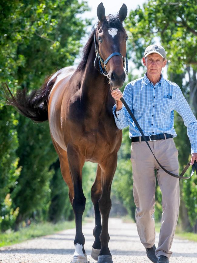 Trainer Stephen Brown with his horse Lady Jones, which is running in the Oaks Day Country Final at Flemington. Picture: Jay Town