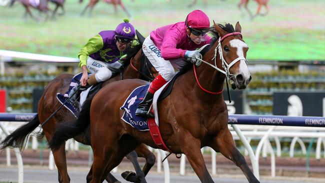 Craig Williams rode Sure Knee to victory in the Macedon and Goldfields Handicap at Flemington in Melbourne back in June