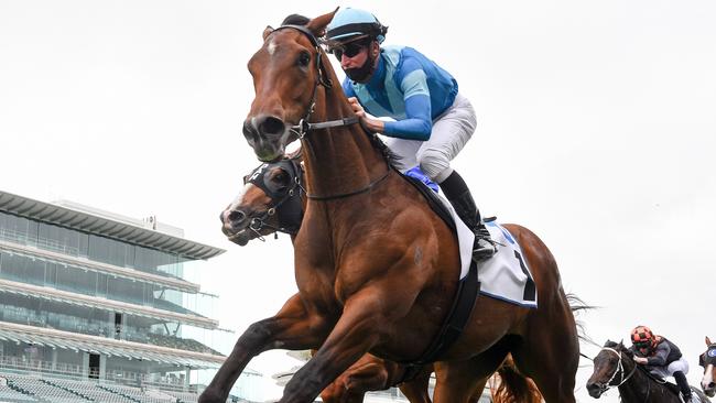 Crosshaven dug deep to win the Carbine Club Stakes. Picture: Getty Images