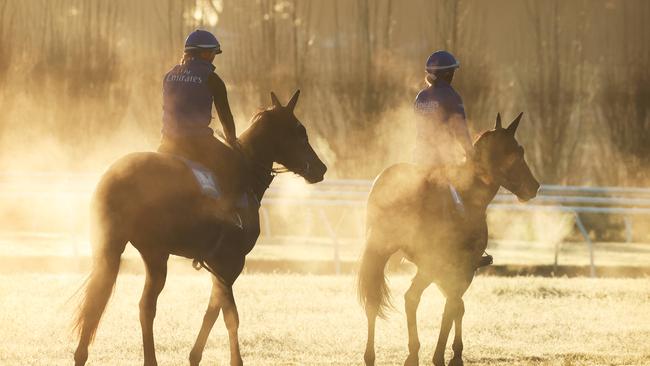 Early morning trackwork session at Godolphin’s Osborne Park. Picture: Rohan Kelly