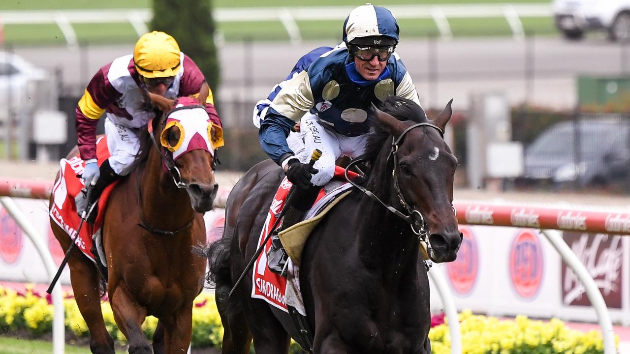 Cox Plate 2021 Horse Racing Caufield Cup Sir Dragonet Dies After The Valley Melbourne Cup