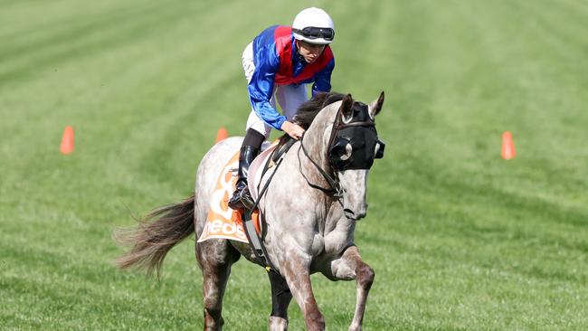 Benaud has a wide barrier to overcome on Saturday. Picture: Racing Photos via Getty Images