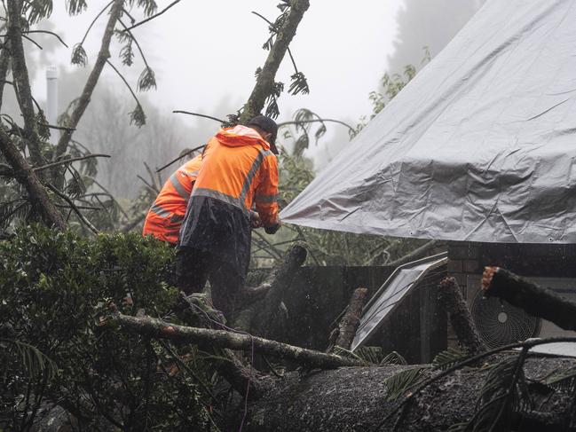 Tree smashes through house, motel in ex-TC wind gusts