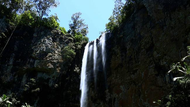 Springbrook’s Purling Brook Falls Pic by David Clark