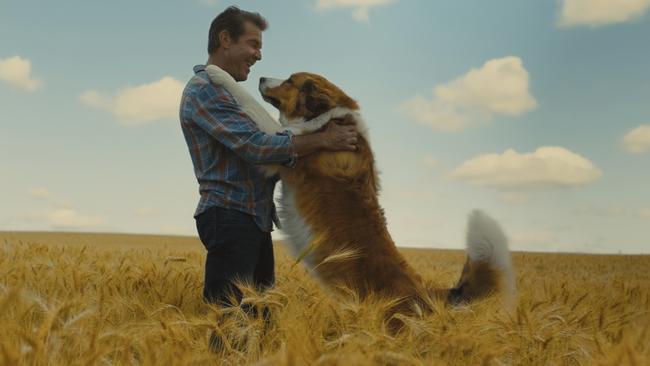 Dennis Quaid in a scene from A Dog's Journey. Picture: Universal Pictures