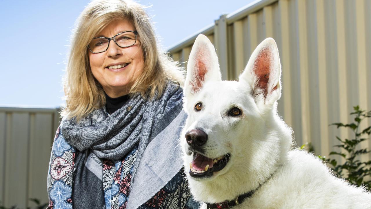 Petsitter Kristeen Parsons who travels the world looking after people's pets in luxury accomodation, pictured with Geisha the Swiss White Shepherd  at North Lakes. Picture Lachie Millard