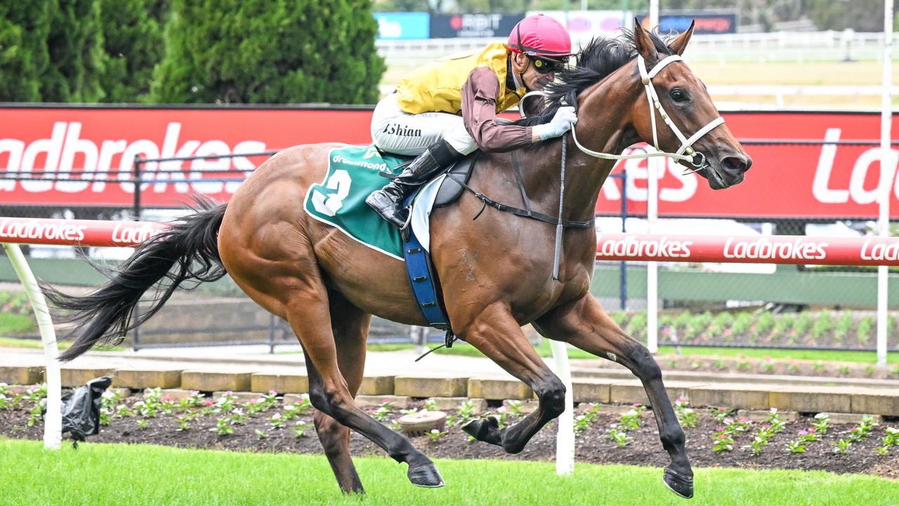 Busuttin and Young play the field in Blue Diamond Prelude