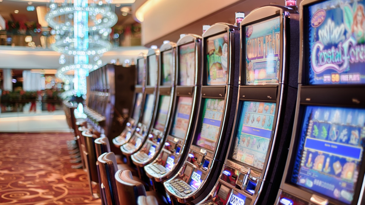 ‘Not a massive debate’: Steve Price questions the pokies issue in Victoria