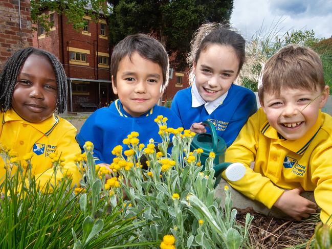 Fitzroy Primary School students, Hadiya (6), Zain (6), Lillian (9) and Manning (8) tending to their Harmony garden which has been created from money raised by the markets. Picture Jay Town