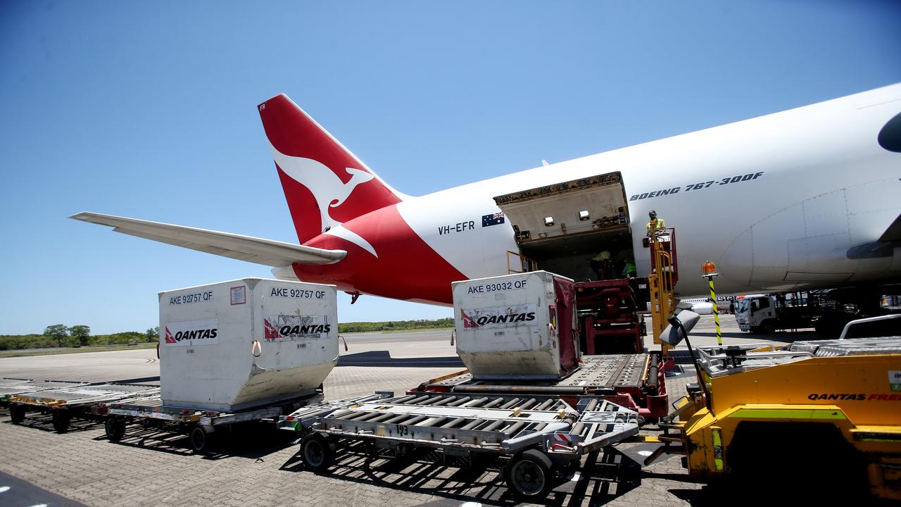 Qantas freight hot sale pets