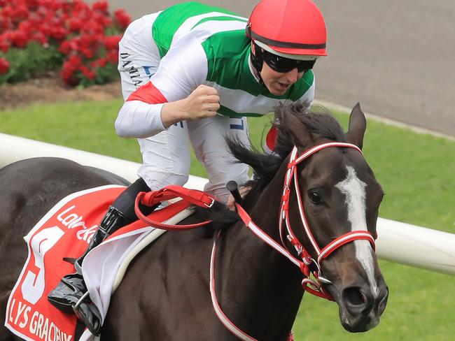 MELBOURNE, AUSTRALIA - OCTOBER 26: Damian Lane on Lys Gracieux wins race 9 the Ladbrokes Cox Plate during Cox Plate Day at Moonee Valley Racecourse on October 26, 2019 in Melbourne, Australia. (Photo by Mark Evans/Getty Images)