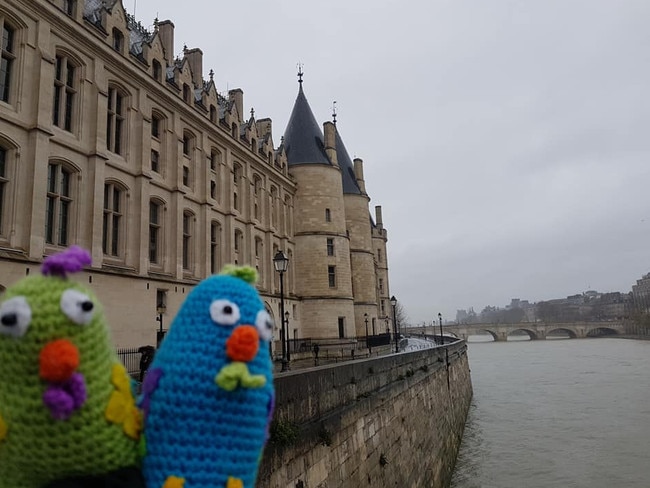 Twin chooks FluffnStuff (green) and Sloan (blue) from Townsville are stuck in France thanks to the coronavirus pandemic. Picture: Peluche Travel/Facebook