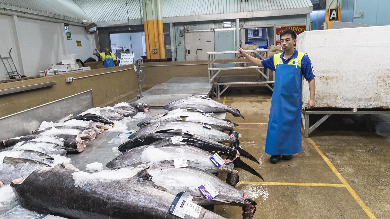 Tuna for sale on the trading floor at the Sydney Fish Market. Picture: Getty