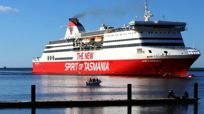 TT-Line, which operates the Spirit of Tasmania vessels, has been charged in relation to the deaths of 16 polo ponies last year. Picture: CHRIS KIDD