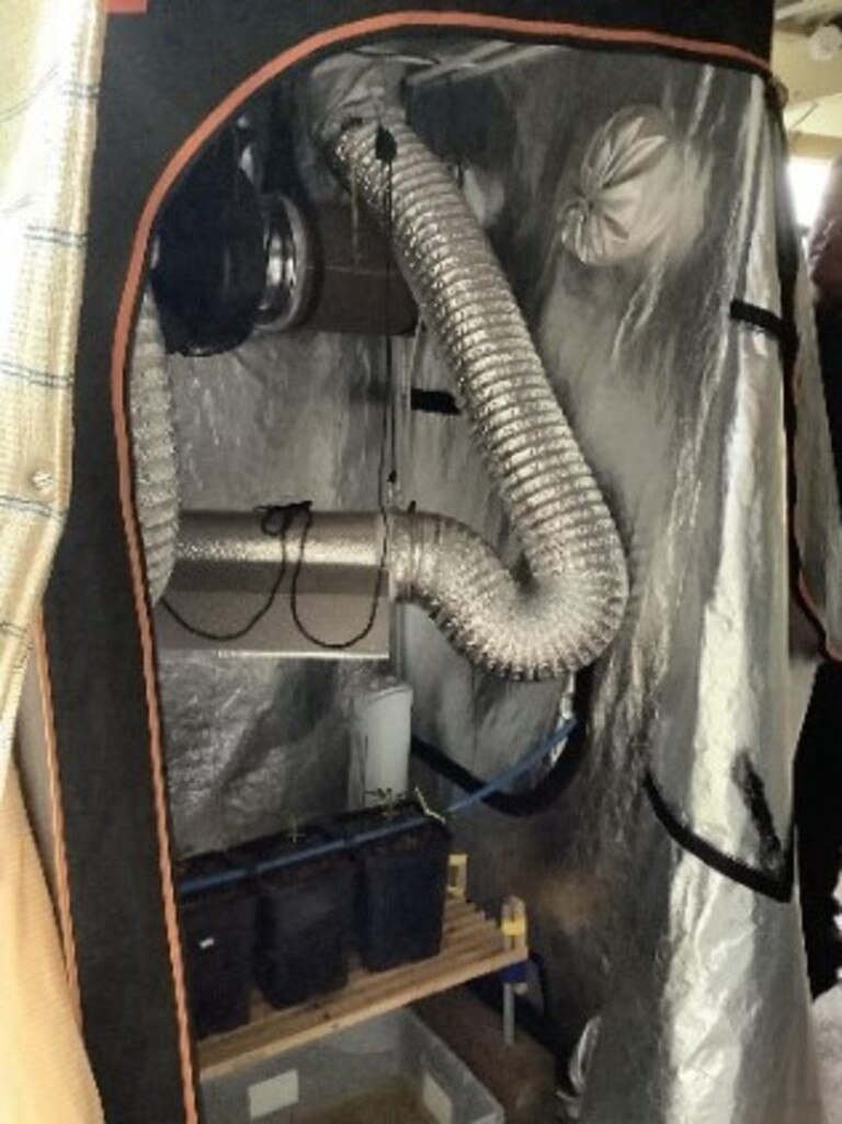 Hydroponic set up allegedly found during a search. (Picture: Contributed)
