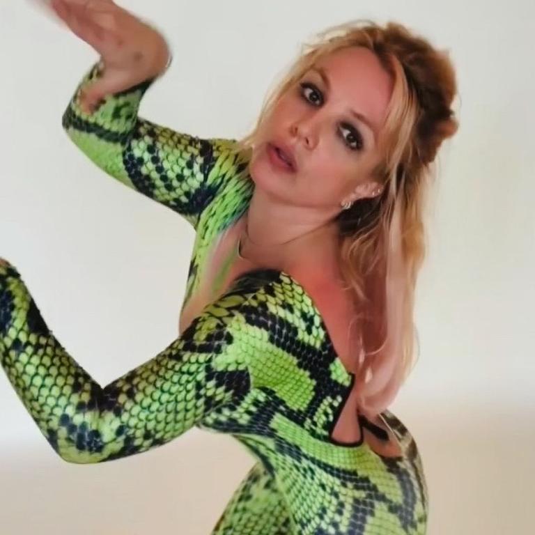 Britney called herself a ‘snake’ in bizarre Instagram post. Picture: Instagram/BritneySpears
