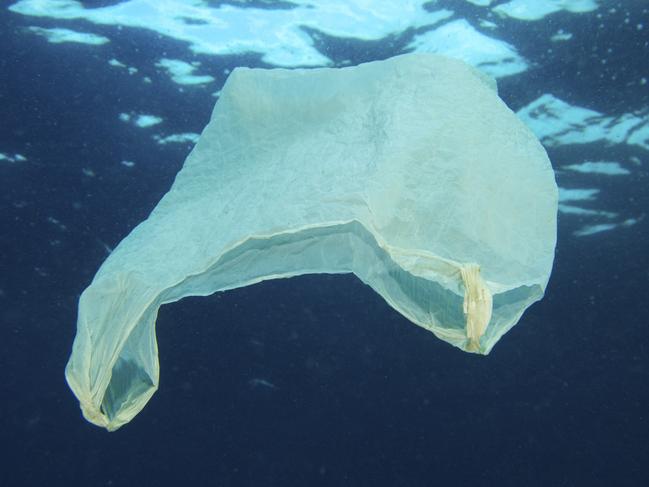 Plastic bag floating in the ocean