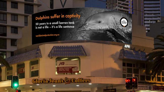 The new billboard from World Animal Protection as part of their campaign against captive dolphin breeding. Similar billboards have been placed across the Gold Coast.