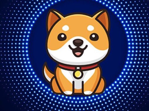 Baby doge is a new cryptocurrency being hyped by Elon Musk. Picture: Twitter