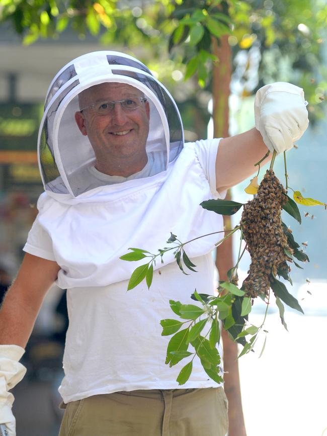 Andrew Lloyd as a beekeeper in Sydney. He was sentenced for two drink driving incident (AAP Image/Jeremy Piper)