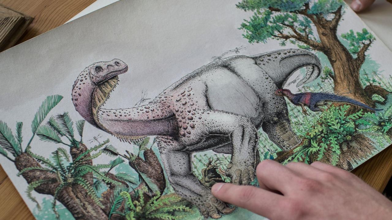 Scientists Discover New Species of Giant Dinosaur - Ledumahadi Mafube