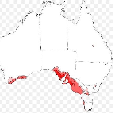 The Bureau of Meteorology's latest drought statement revealing close to half of Victoria is experiencing severe rainfall deficiency. Picture: BOM