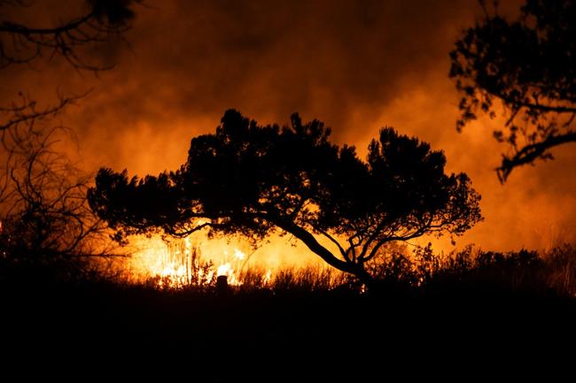 A wildfire that broke out in Oxnard, west of Los Angeles on Monday night set nerves jangling