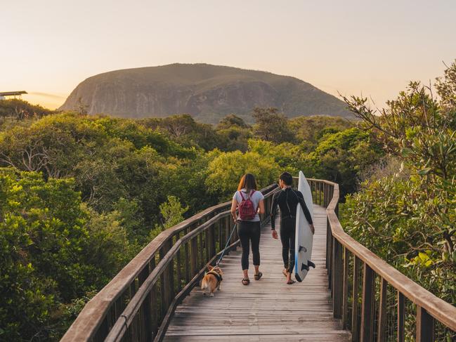 Couple with a dog walking along the Mt Coolum Boardwalk at sunsetPhoto- Tourism QldEscape 30 oct 2022savvy