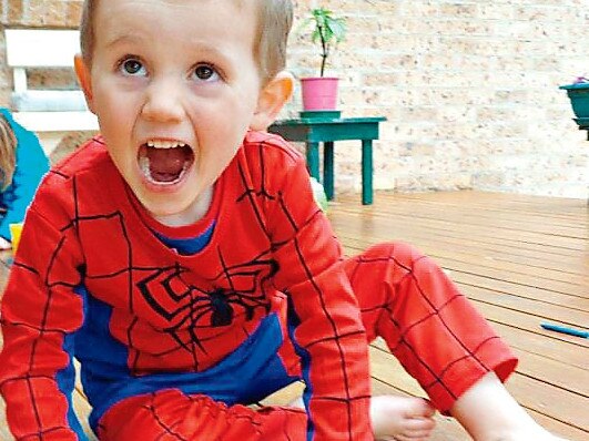 William Tyrrell went missing in Kendall NSW in 2014.