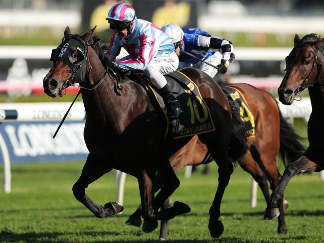 Etah James wins the Schweppes Sydney Cup at Royal Randwick.