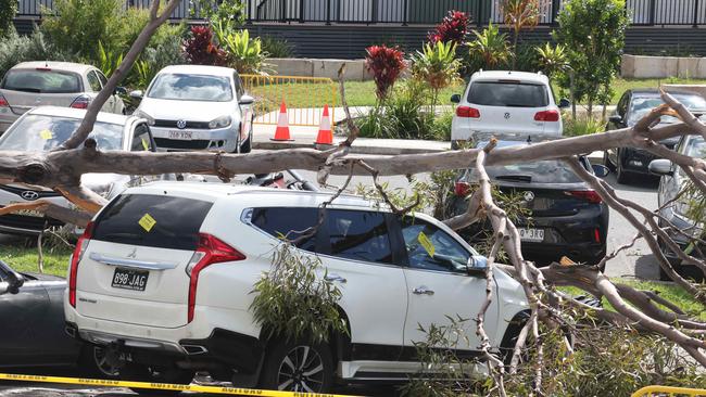 The only victims were cars. Picture: Glenn Hampson