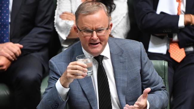 Opposition Leader Anthony Albanese. Picture: AAP